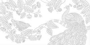 We can't get enough of colouring in the pages of millie marotta's animal kingdom, bringing the creatures to life.try it out for yourself with this free elephant download, and don't forget to share your on social media using the hashtag #milliemarotta! Millie Marotta Facebook