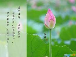 生命中有很多東西， 能忘掉的叫過去， 忘不掉的叫記憶， 我們跌跌撞撞的前行， 迎接每一個分岔路， 一路同行的人， 可能走著走著就往兩個. å¤è‡³ä¹ ä¿—è°šè¯­å¤§å…¨ è°šè¯­ è¯­æ–‡æµ·