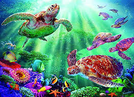 Check spelling or type a new query. Turtle Voyage Jigsaw Puzzle 500 Pc Jigsaw Puzzle By Sunsout Pricepulse