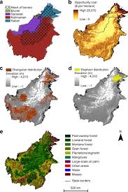 Would you like to see only ebooks? Alternative Futures For Borneo Show The Value Of Integrating Economic And Conservation Targets Across Borders Nature Communications