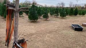 Christmas tree lots in bartow. Local Businesses Selling Real Christmas Trees This Season Ktul