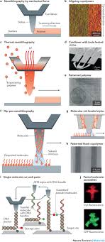 The current is generated when photons are dark current increased with temperature. Atomic Force Microscopy Based Characterization And Design Of Biointerfaces Nature Reviews Materials