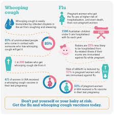 immunisation in pregnancy