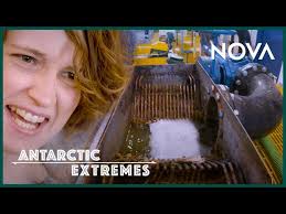 Where Does the Poop in Antarctica Go?