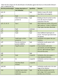 Lyme Diagnosis And Lab Results Lyme Tribune