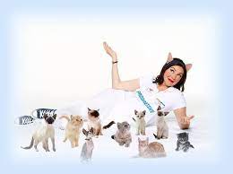 Flo From Progressive Insurance With Kittens Progressive Insurance Flo Progressive Progress