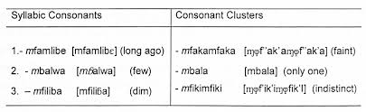International phonetic alphabet (ipa) symbols used in this chart. The Representation Of Phonetic Phonological Information In Nguni Dictionaries Semantic Scholar
