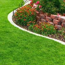 Likewise, edging serves as a way to locate flower beds and sitting areas, among others. Pure Garden 11 In H X 7 5 Ft W Leaf Metal Garden Edging Reviews Wayfair