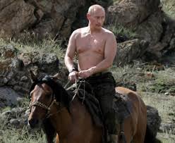 See more ideas about bear, vladimir putin, putin. Vladimir Putin The Bugle Wiki Fandom