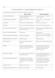 Live worksheets > english > science > energy. Worksheet Photosynthesis And Cell Energy Biology Answers Nidecmege