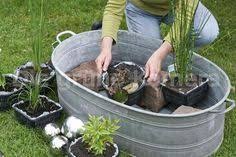 Bildergebnis Fur Miniteiche Garten Zinkwanne Zinkwanne Bepflanzen Gartenteich Garten