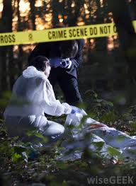 The history of forensic photography also points at its significance in solving some of the goriest of murders in the past. What Is Forensic Chemistry With Pictures