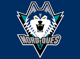 These elements combine to form an igloo — a neat visual trick indeed. Quebec Nordiques Unused Logo 1996 Navy Blue Wolf Head On Teal And Black In 2021 Quebec Nordiques Nhl Logos Logos