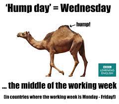 Share your wednesday happiness with our creative and colorful happy hump day wednesday images collection with your dear friends and family and motivate them to make the most. Happy Wednesday Or Happy Hump Bbc Learning English Facebook