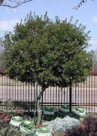 Pin On Grow