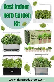 Best Indoor Herb Garden Kit 2021 Herb Garden Kit Indoor Herb Garden Herb Growing Kits