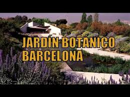 Der neue botanische garten in barcelona ist nicht nur die neuere anlage, er hat auch ein etwas anderes konzept als sein historischer vorgänger. Botanischer Garten In Barcelona Jardi Botanic Lohnt Er Sich