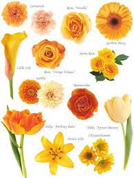 Are you looking for names inspired by flowers for your beautiful baby girl? I Do It Yourself Flowers By Colour Flower Names Flower Chart Flower Guide