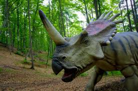 Dino Parc Din Rasnov