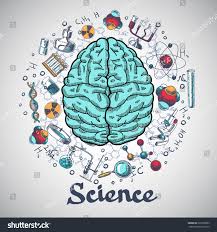 Human Brain And Physics And Chemistry Icons In Science Concept Sketch Vector Illustration Ad Sponsored Chemistry Science Drawing Brain Art Brain Painting