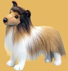 Sheltie Plush Animal She Has Named Sienna For Her Aunt Uncle Cous Shetland Sheepdog Puppies Shetland Sheepdog Blue Merle King Charles Cavalier Spaniel Puppy
