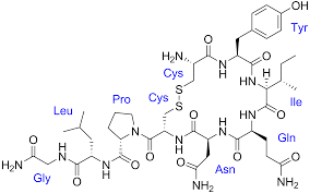 Is the product still good acceptable to use? Oxytocin Wikipedia