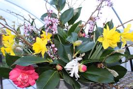 Grand rapids, mi bulk flowers & wholesale flowers for diy weddings, special events and fundraisers did you know that we also offer bulk order flowers online in grand rapids, mi with sunnyslope floral. Co Op Farm Visit Local Flower Workshop Astoria Co Op