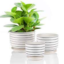 Use plastic, metal or glazed ceramic for plants. Ceramic Plant Pots Indoor Planters Flower Pots Garden Plants Pots With Saucers Set Of 3 Buy Online In Antigua And Barbuda At Antigua Desertcart Com Productid 142538822