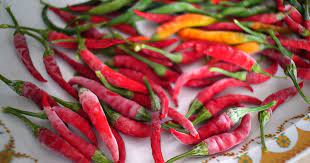 How To Freeze Chillies World Of Chillies