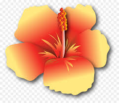Maybe you would like to learn more about one of these? Hibiscus Flower