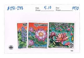 Image result for Astripomoea malvacea