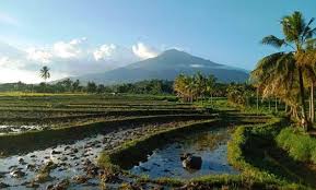 Kanlaon remains to be the highest peak in central philippines. 104 Kanlaon Tremors In Last 24 Hours
