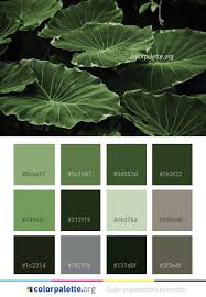 Card Image Cap Color Palette Green Paint Colors Plant Leaves