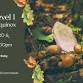 Reiki Level I event image