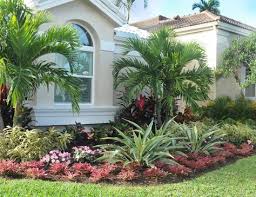 If you only have tiny space for gardening, you can create the ultimate flower bed by choosing the right plant. 57 Tropical Flower Bed Ideas Garden Design Planting Flowers Plants
