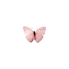 Butterfly Pink Aesthetic Animals Pink