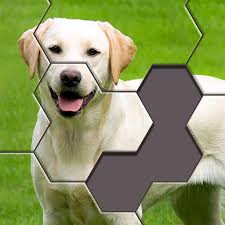 Test your brain with the best puzzle games for android! Hexa Jigsaw Puzzle Apps On Google Play