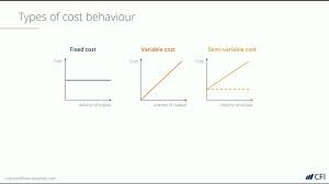 An economist would likely advise mr. Fixed And Variable Costs Overview Examples Applications