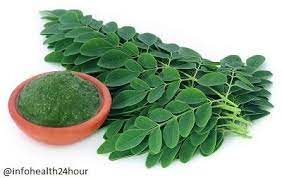 Moringa Tree Is One Kind Of Tree Which Can Be Identifying With Miracle Tree Or Drumstick Tree Or Horseradish Moringa Leaves Moringa Benefits Of Moringa Leaves