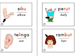 Translations of the word badan from indonesian to english and examples of the use of badan in a sentence with their translations: Free Bbm English Anggota Mumtaz Kids And Education Facebook