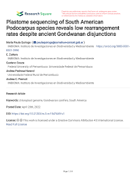 Image result for Aster milanjianus