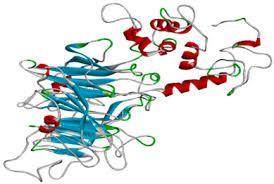 True super 3 v1.4 rom original unlock. Engineering A Novel Subunit Vaccine Against Sars Cov 2 By Exploring Immunoinformatics Approach Sciencedirect