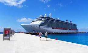 The port of miami, styled as portmiami but formally the dante b. Cruise Terminals In Cozumel Mexico Port Guide 2020 Iqcruising