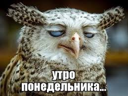 images?q=tbn:ANd9GcQZ3tOSPeUjq7HHTqNnvpU