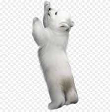 Maybe you would like to learn more about one of these? Fotki Winter Backgrounds Bear Clipart Winter Clipart Polar Bear Standing Up Png Image With Transparent Background Toppng