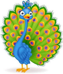 The male bird has beautiful tail feathers that can be developed to attract the attention of. 123rf Millions Of Creative Stock Photos Vectors Videos And Music Files For Your Inspiration And Projects Bird Drawings Cartoon Clip Art Clip Art