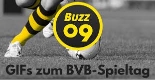 They're all dedicated to the lads of motionless in. 09 Gifs For The Home Match Against Koln And Subotic S Return To Dortmund Buzz09 Deine Bvb Timeline