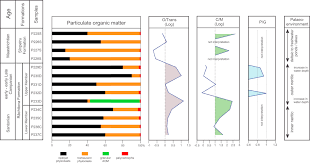 Anuarul statistic anuarul statistic al romaniei. Palynological And Palynofacies Analyses Of Upper Cretaceous Deposits In The HaÅ£eg Basin Southern Carpathians Romania Sciencedirect