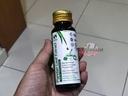 Daun pandan sudah sering digunakan untuk bahan pewarna makanan hijau alami. Pewarna Perisa Makanan Semulajadi Dengan Bionutricia Extract Natural Concentrate Marshalizadotcom