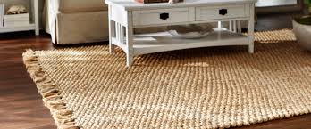 Home » rug cleaning queens » rug cleaning austin. The Scoop On Pet Stains And Area Rugs Austin Texas The Steam Team Austin Tx Carpet Tile Air Duct Cleaning Water Damage Call 512 451 8326